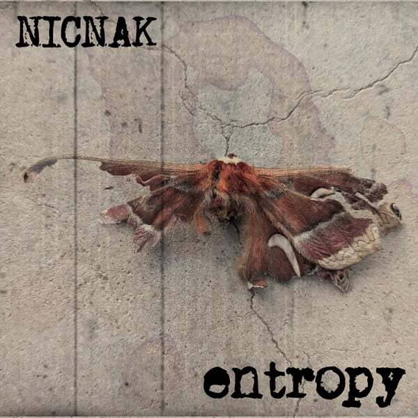 Cover art for entropy